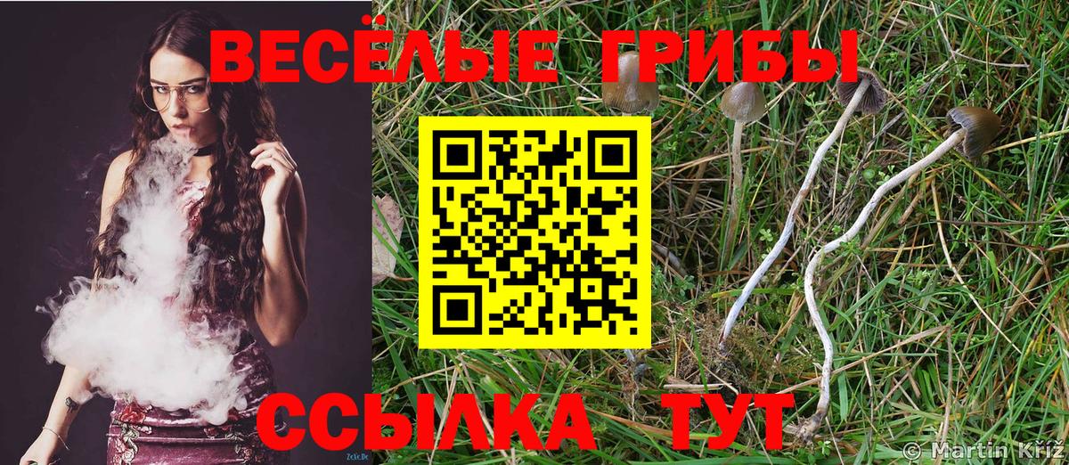 Каннабис  НБОМе  Вход с VPN  Татарск  MDMA  Гашиш  КОКАИН  Меф  
