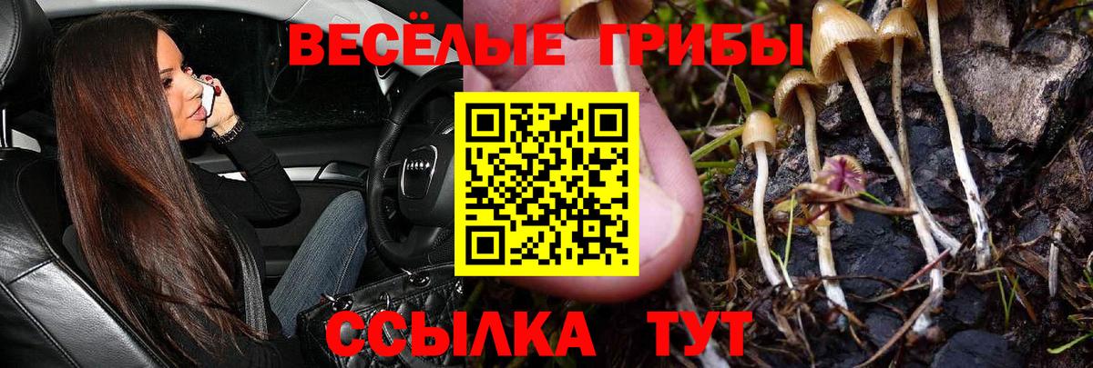 Псилоцибиновые грибы прущие грибы Татарск
